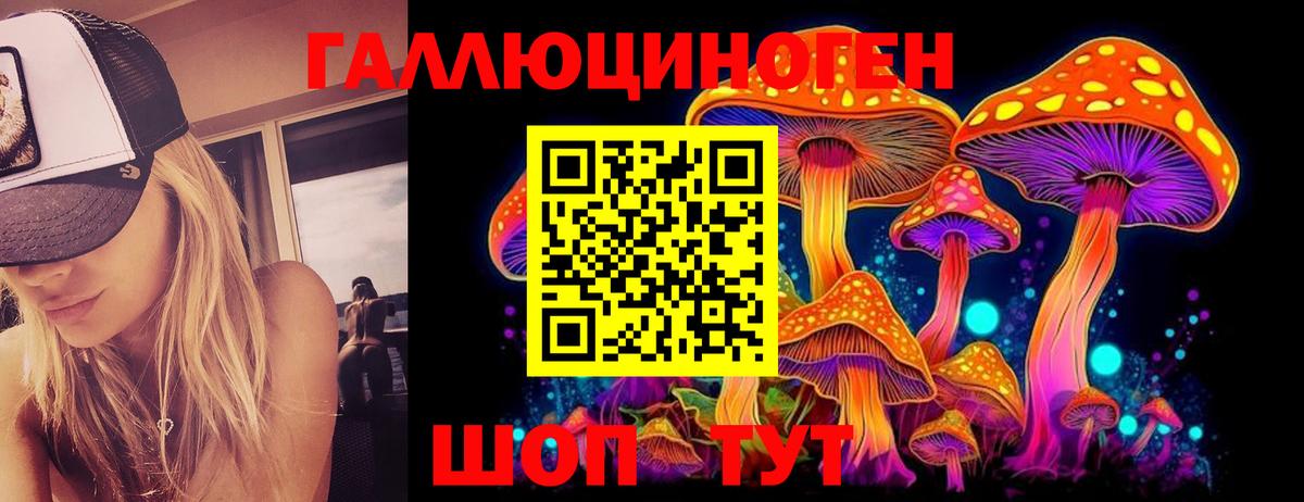 Галлюциногенные грибы Psilocybe  Галлюциногенные грибы мицелий  Вход с VPN  Нарткала 