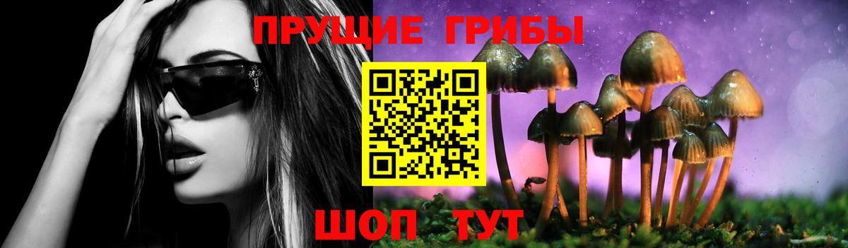 Псилоцибиновые грибы Magic Shrooms Нарткала