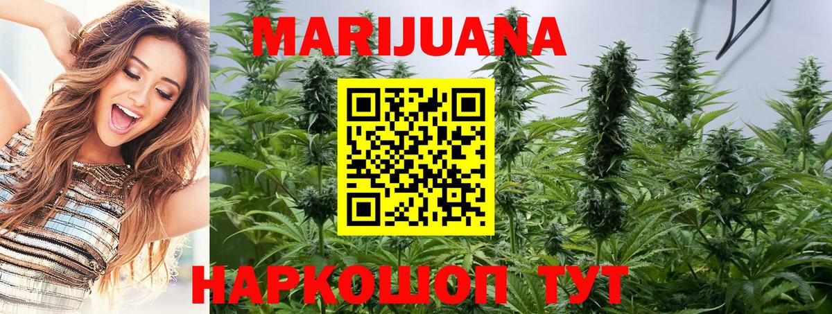 Конопля тримм  Марихуана план  Нарткала  Вход с VPN  Шишки марихуана Bruce Banner 